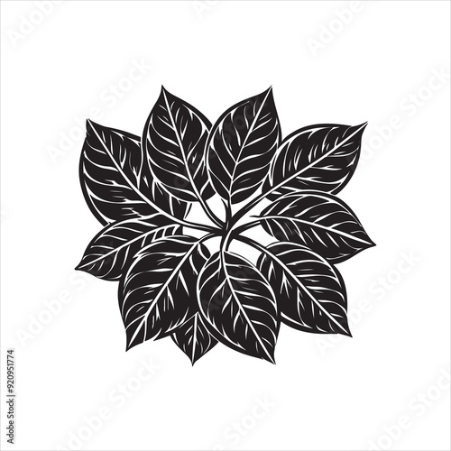 Mandalas Drawing in Miniature Style Coloring flower