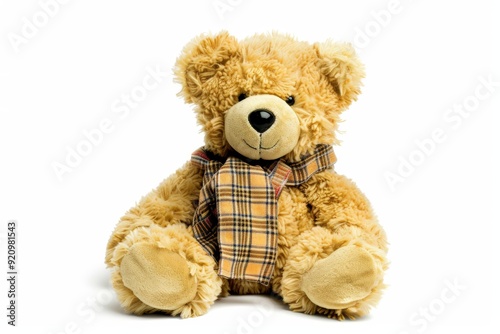 teddy bear isolated white background