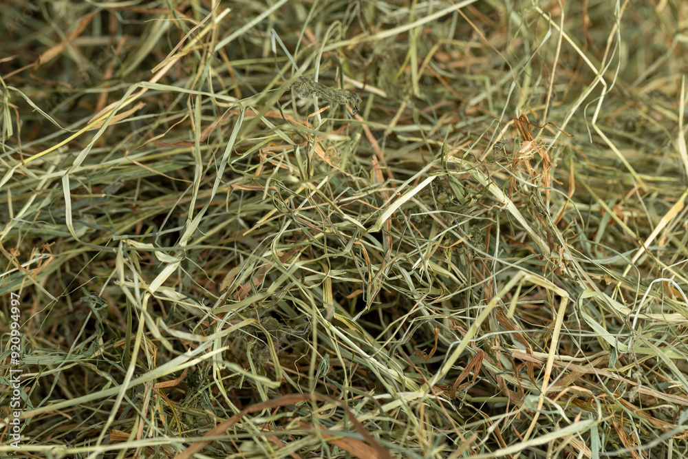 Dehydrated Dried Grass for hay production in agriculture Dehydrated Dried Grass for hay production in agriculture