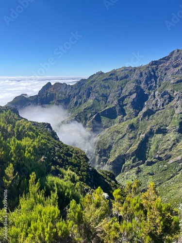 view from the mountain