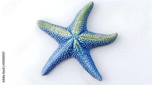 Vibrant and Textured Starfish Resting in Tropical Ocean