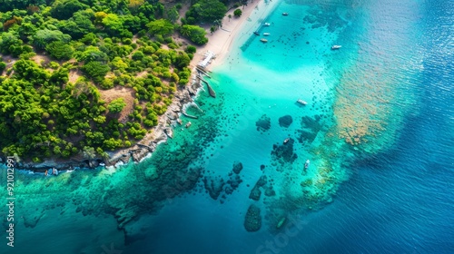 Aerial Paradise: Tropical Coastline Bliss