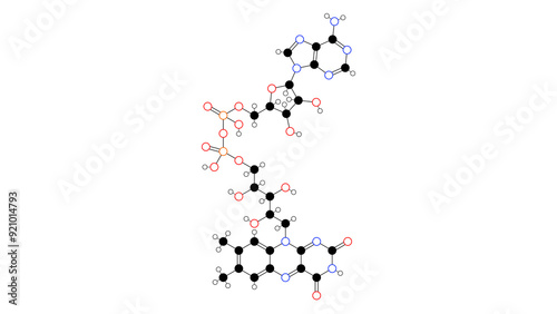 Fotografia flavin adenine dinucleotide molecule, structural chemical formula, ball-and-stic
