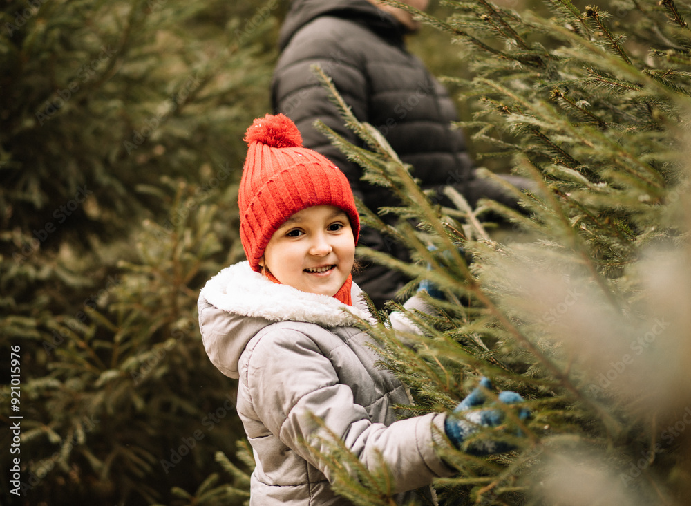 Cute little kid choosing with family freshly cut Christmas tree at outdoor fair. Holiday celebration concept. Cute little kid choosing with family freshly cut Christmas tree at outdoor fair. Holiday celebration concept.
