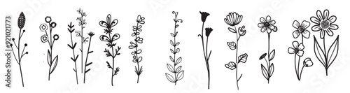 wildflower set black white silhouette vector illustration