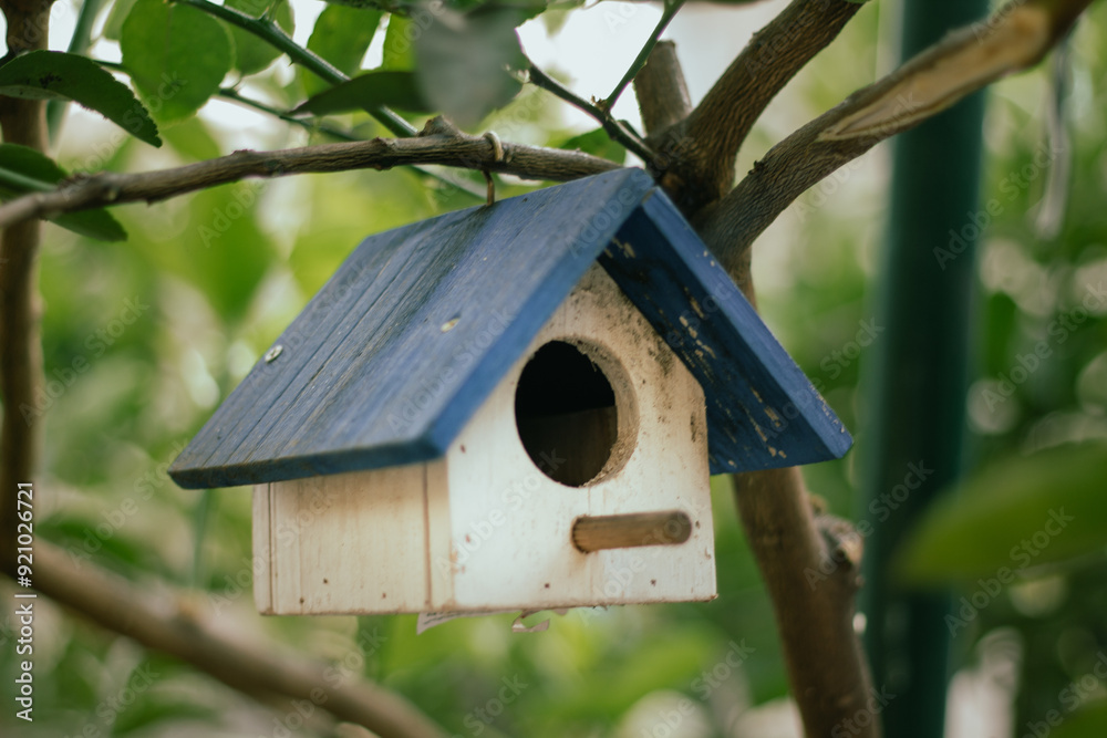 Bird House Tree Wood Bird House Tree Wood