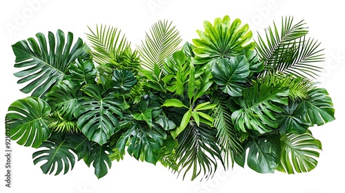 Lush tropical leaves arrangement on white background.