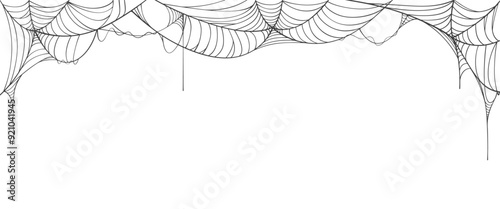 Vector Cobwebs Background