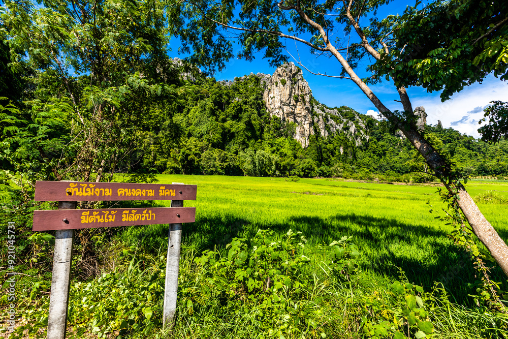 Nature Wallpaper (Mountains, Green Fields, Roadside Accommodation, Twilight Sky) The beauty of nature while traveling, with the wind blowing through the blurred leaves. Nature Wallpaper (Mountains, Green Fields, Roadside Accommodation, Twilight Sky) The beauty of nature while traveling, with the wind blowing through the blurred leaves.