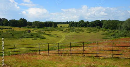 Suffolk  countryside near Woodbridge with fence track and trees photo