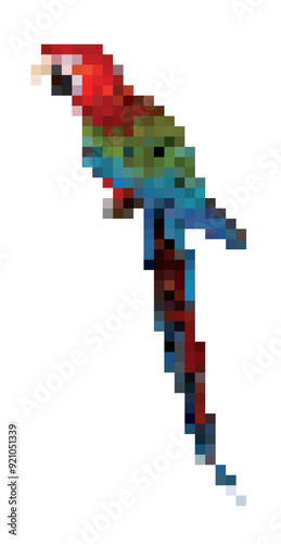 Colorful Parrot. Vector polygon illustration
