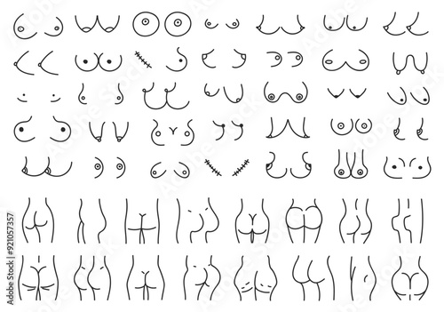 Hand drawn set types of female breasts and buttocks. Doodle boobs and butts. Vector line illustration isolated on white background.