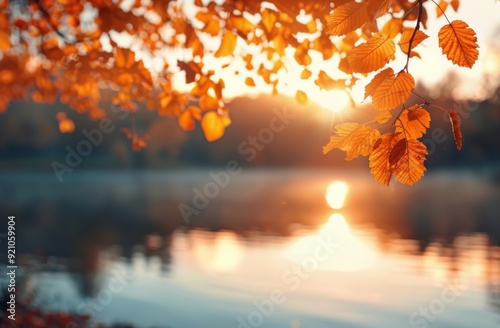 Autumn Leaves Reflecting Soft Sunset Glow Over Calm Lake