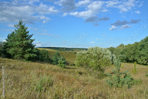 Blue sky, gray clouds and field, natural background.