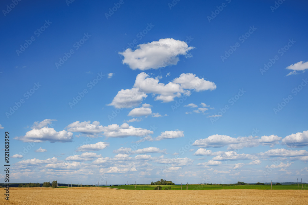 blue sky background with white striped clouds in heaven and infinity may use for skydome replacement blue sky background with white striped clouds in heaven and infinity may use for skydome replacement