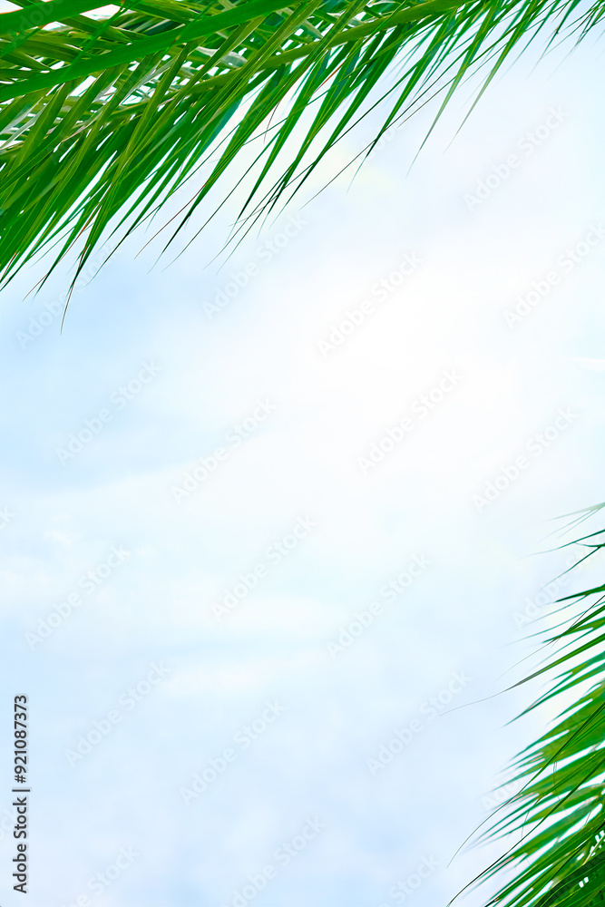 Fototapeta premium Summer background with large green leaves of palm tree against the blue sky Copy space