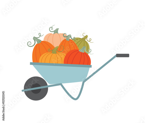 Pumpkins in a cart. Harvest festival. Flat style illustration of autumn vegetables crop