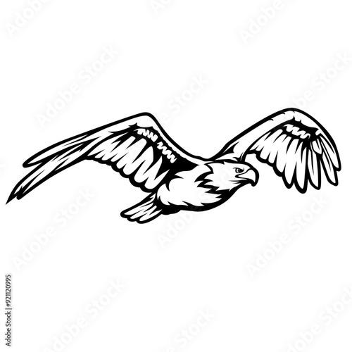 Eagle | Predator Bird | Flying Eagle | Flying Animal | Wildlife | Flying Bird | Golden Eagle | Wild Animal | Original Illustration | Vector and Clipart | Cutfile and Stencil