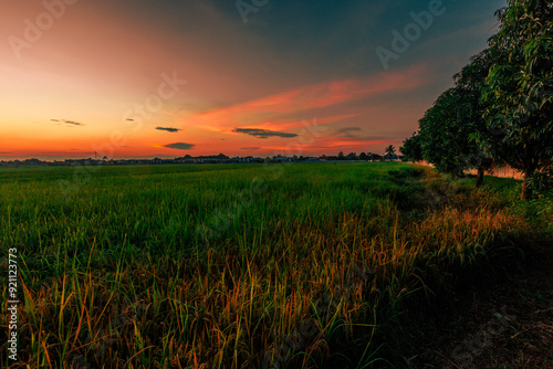 Nature Wallpaper (Mountains, Green Fields, Roadside Accommodation, Twilight Sky) The beauty of nature while traveling, with the wind blowing through the blurred leaves.