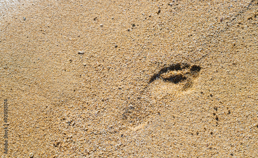 Single footprint in the sand of a beach in Mauritius (Indian Ocean). Perfect shape and silhouette of a human footprint in fine wet coral sand. Holiday destination and place of longing in Africa. Single footprint in the sand of a beach in Mauritius (Indian Ocean). Perfect shape and silhouette of a human footprint in fine wet coral sand. Holiday destination and place of longing in Africa.