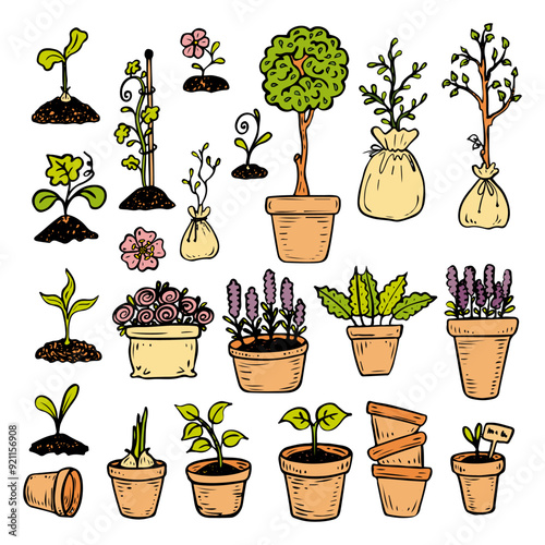 Set plants in pots hand drawn flat. Flowers with buds and seedlings with leaves planted in containers. Garden decor. Vector line art illustration.