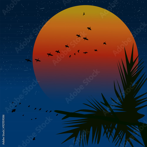 Sunset or sunrise in tropical island. Palm tree branches at night sky background. Evening sky with orange sun and flying birds. Morning in wild nature or national park. Stock vector illustration