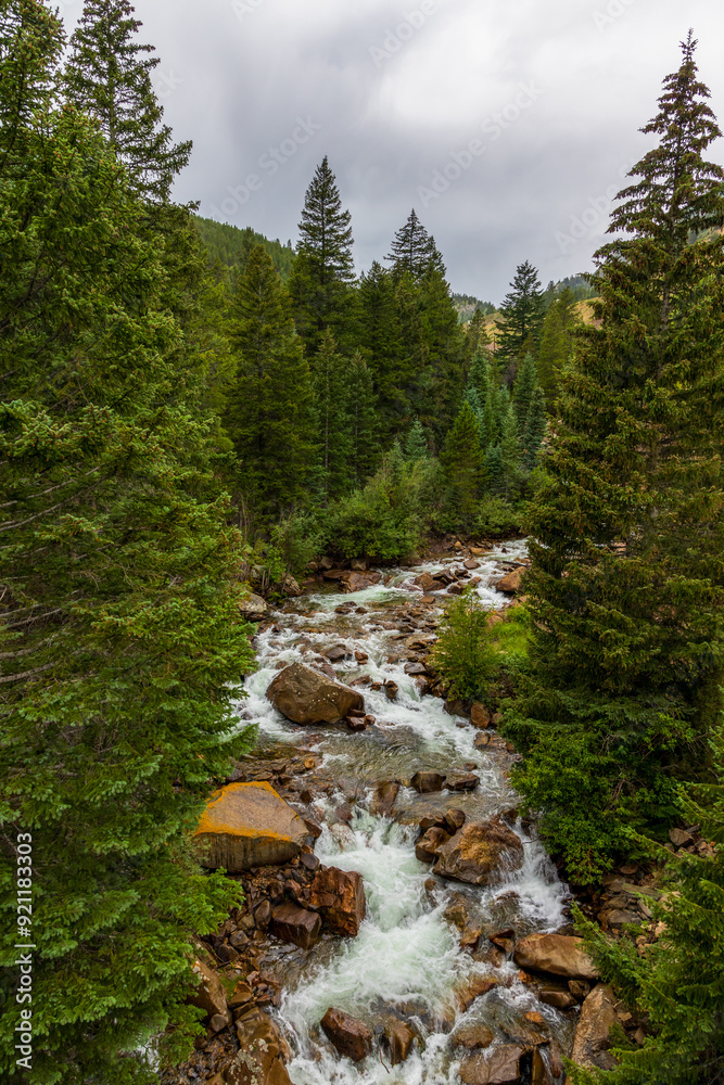 Obraz premium Beautiful Clear Creek in the Rocky Mountains near the Georgetown Loop Railroad station in Georgetown, Colorado