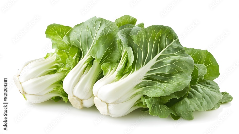 Freshly Picked Bok Choy Vegetable Isolated on White Background Freshly Picked Bok Choy Vegetable Isolated on White Background