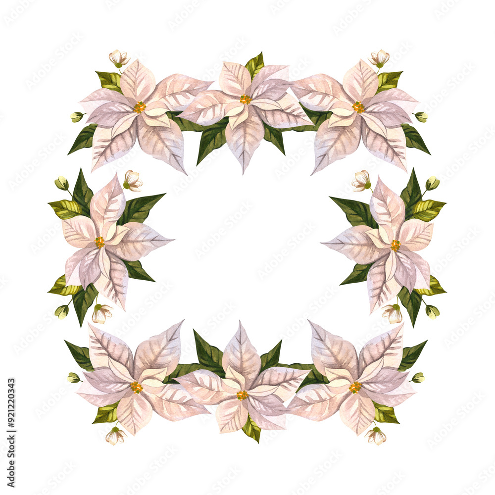 Obraz premium White poinsettia frame. Christmas interior flower. Watercolor illustration for holiday card, poster, announcement. For background design, banner