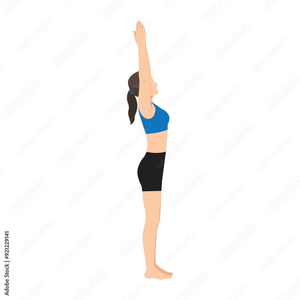 Woman doing Volcano Pose, Upward Hand Pose, Upward Salute Pose or Tadasana Urdhva Hastasana. Flat vector illustration isolated on white background Woman doing Volcano Pose, Upward Hand Pose, Upward Salute Pose or Tadasana Urdhva Hastasana. Flat vector illustration isolated on white background