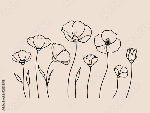 continuous single line drawing of wild flower, corn poppy line art vector illustration
