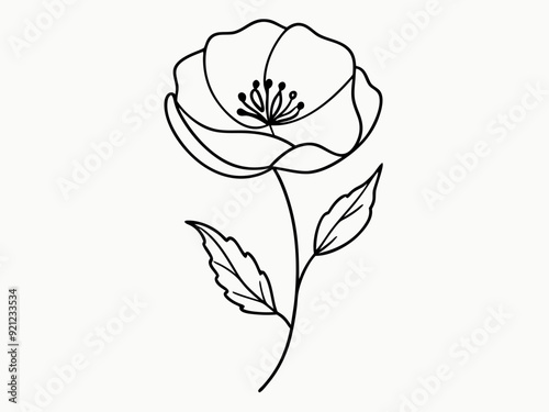 continuous single line drawing of wild flower, corn poppy line art vector illustration
