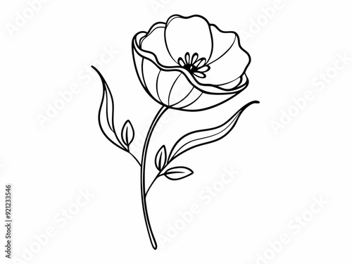 continuous single line drawing of wild flower, corn poppy line art vector illustration
