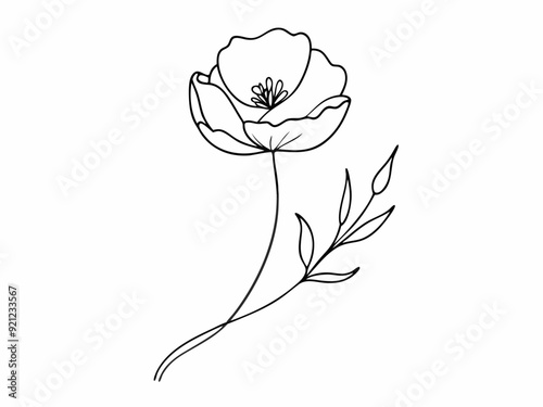 continuous single line drawing of wild flower, corn poppy line art vector illustration
