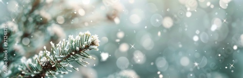 Snow-Covered Pine Branch Shining in Soft Winter Light at Twilight