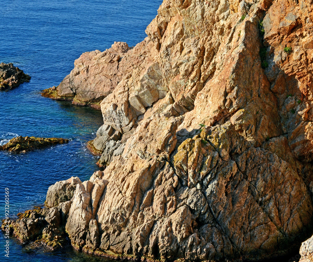 Felsen und Baum am Meer mit goldener Spiegelung Felsen und Baum am Meer mit goldener Spiegelung