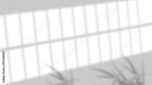 realistic widow shadow on wall natural perspective