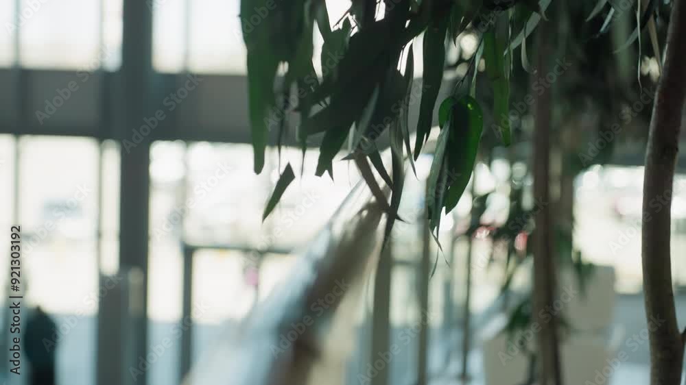 A close-up shot of a handrail and plant leaves with a blurred background. The image captures a serene indoor environment, emphasizing the depth-of-field effect A close-up shot of a handrail and plant leaves with a blurred background. The image captures a serene indoor environment, emphasizing the depth-of-field effect