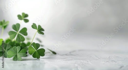 Arrangement of Green Clover Leaves on a Light Background