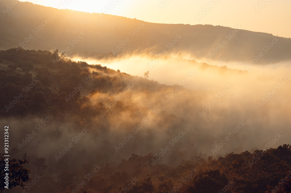 Fototapeta premium Landscape scenery of sunrise. Foggy atmosphere with sun rise light rays on the fog and it shines like golden colored rays on it in hilly range with forest on it.