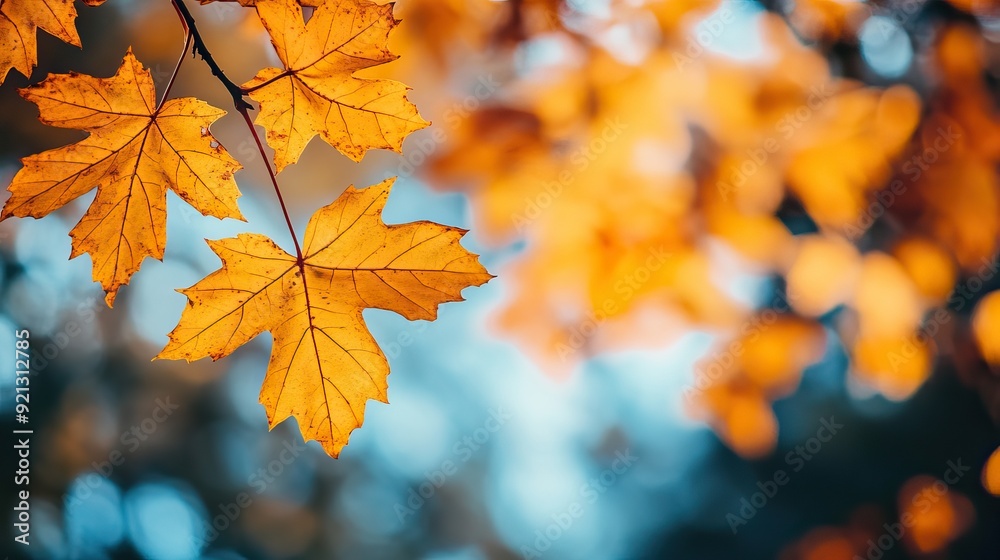 Autumn yellow leaves of tree in autumn park. Fall background with sun lights and Beautiful nature landscape. AI generated image Autumn yellow leaves of tree in autumn park. Fall background with sun lights and Beautiful nature landscape. AI generated image