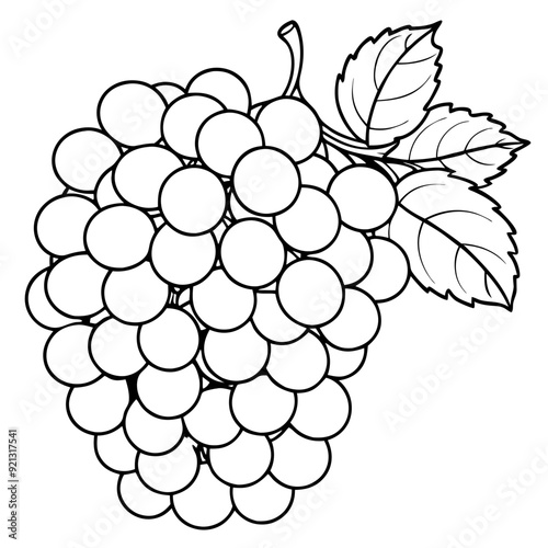 Vector Illustration Black White Grapes Bunch Leaves Detailed Outline Coloring Book Design botanical Art