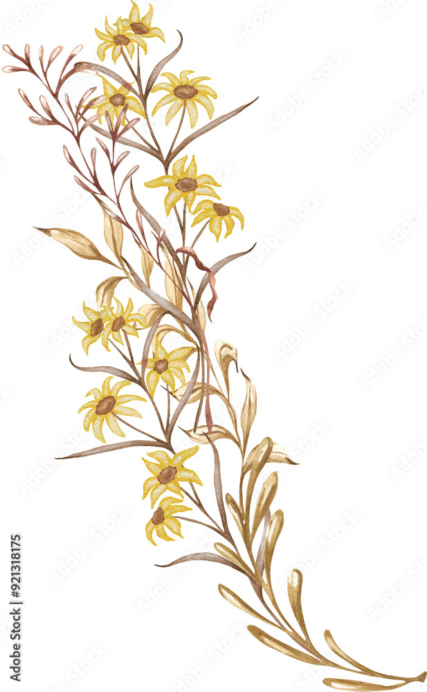 Naklejka premium Dried bouquet. Forest watercolor illustration. Hand-drawn dried leaves, flowers, wild herbs. Woodland