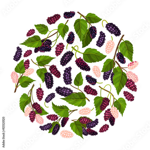 Mulberry Round Composition Design with Garden Fruit Growing Vector Template