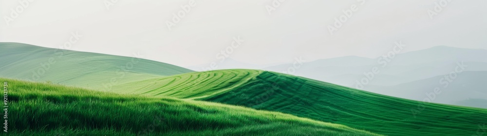 Green Hill Serenity, a minimalist scene featuring a lush green hill against a stark white background, emphasizing simplicity and tranquility with clean shapes and ample free space. Green Hill Serenity, a minimalist scene featuring a lush green hill against a stark white background, emphasizing simplicity and tranquility with clean shapes and ample free space.