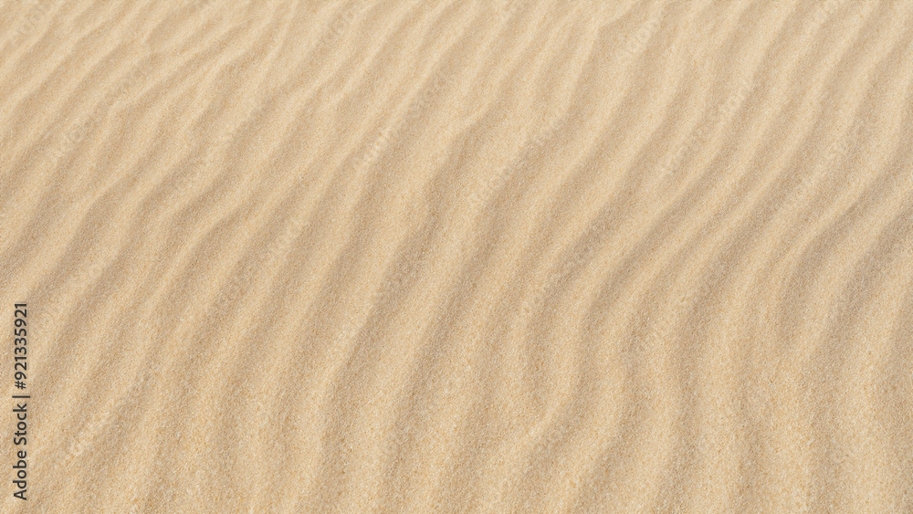sand ripples in the sand sand ripples in the sand