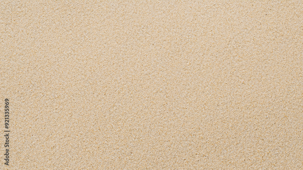 sand texture sand texture