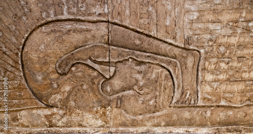 Wall relief at the temple Dendera Temple .