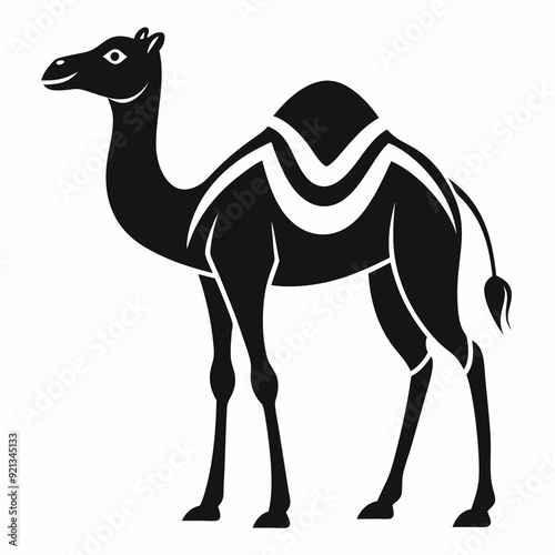 camel
