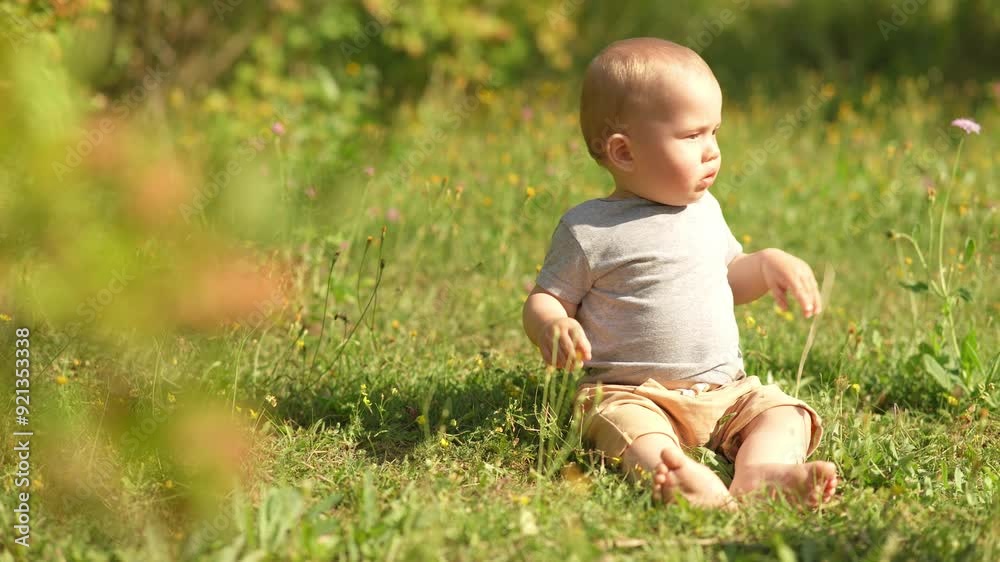 A young child seats in a field, surrounded by wildflowers and the warm glow of the setting sun. A young child seats in a field, surrounded by wildflowers and the warm glow of the setting sun.